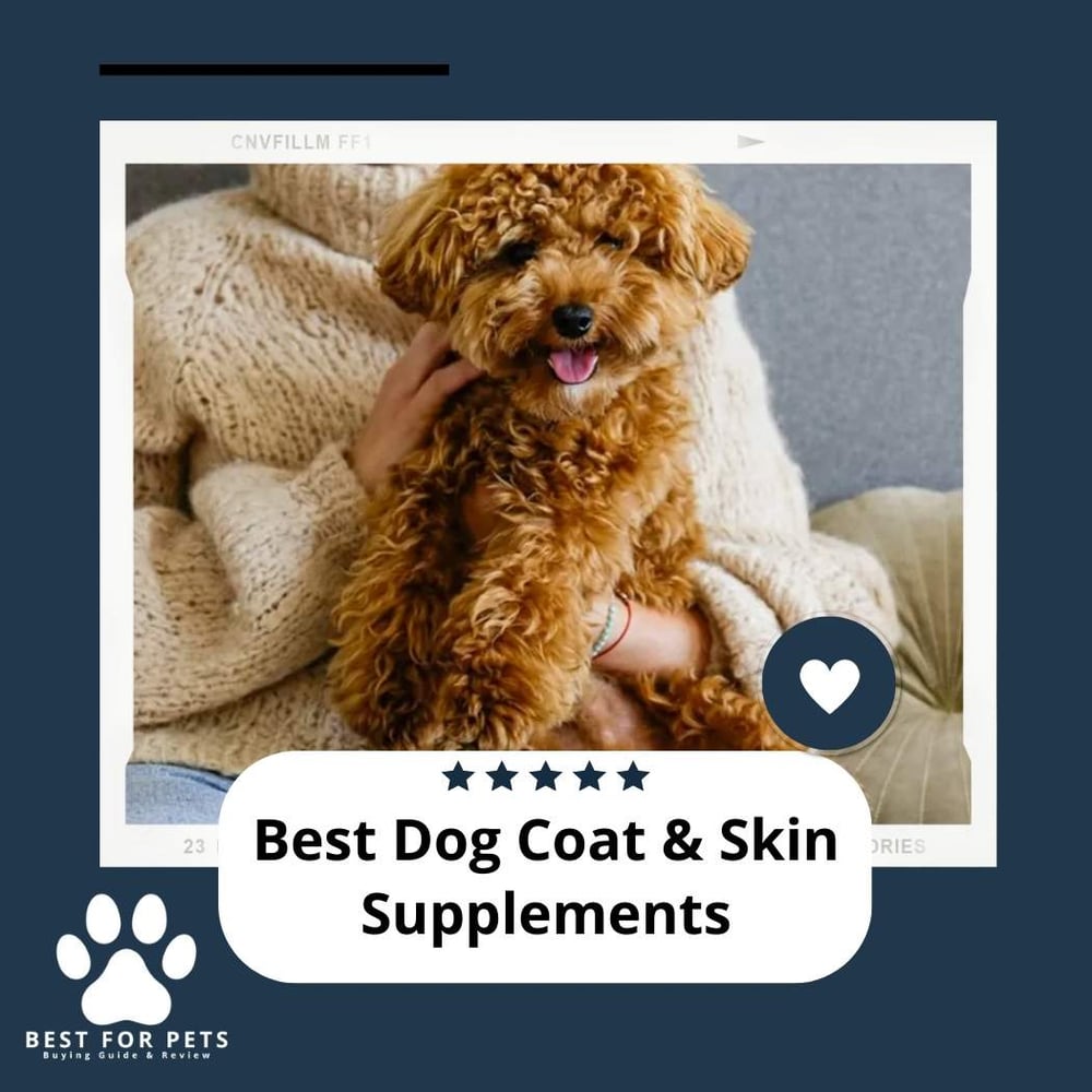 Picture of The 12 Best Dog Coat & Skin Supplements - BestForPets.org