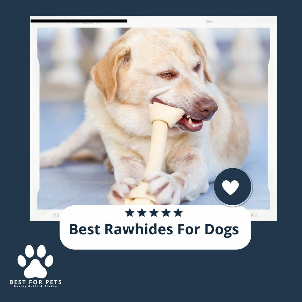 IJ4OEg2Um-best-rawhides-for-dogs