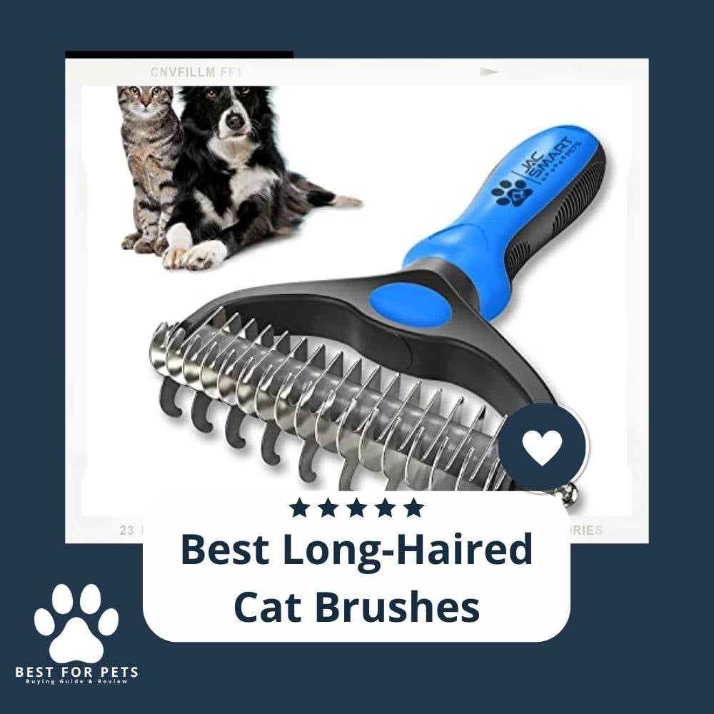 ZNZ_g0TQp-best-long-haired-cat-brushes