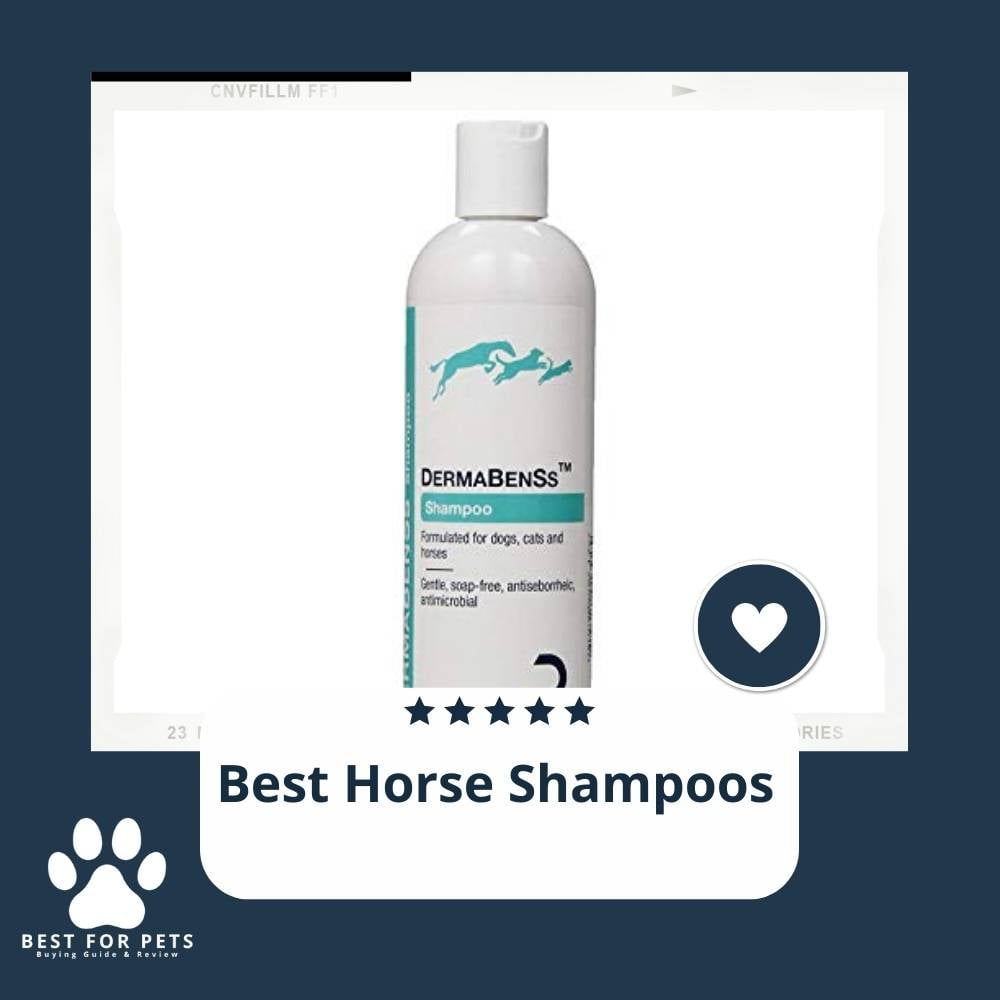 8Zesqmu_H-best-horse-shampoos