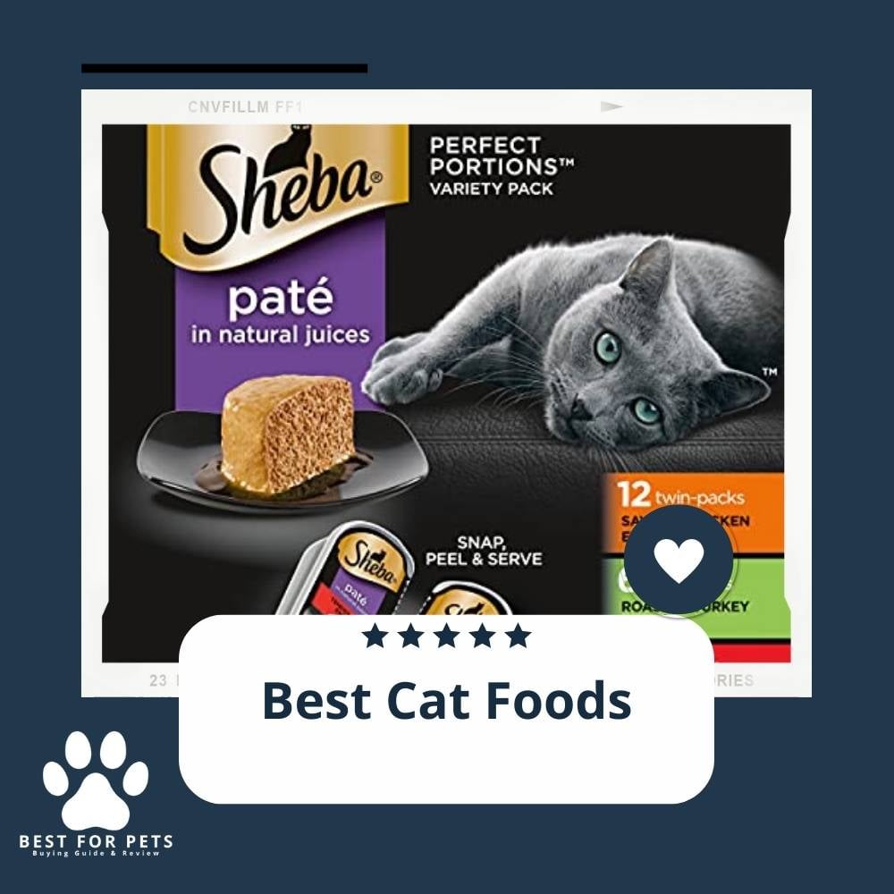 WEWDsMtVd-best-cat-foods