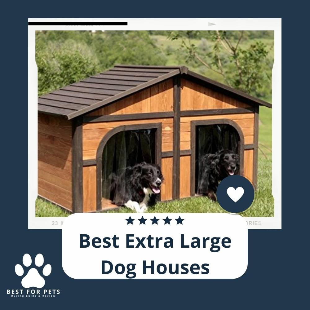 UIun-8Pu_-best-extra-large-dog-houses