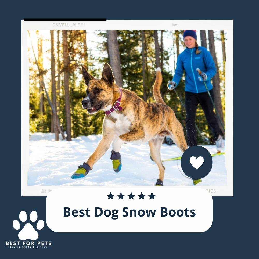 O9SmgHojn-best-dog-snow-boots