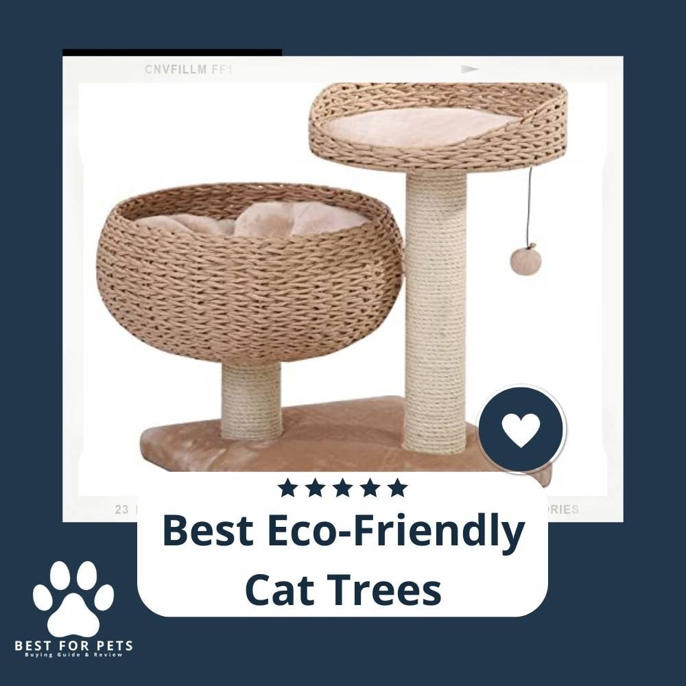 NPVrO0_dH-best-eco-friendly-cat-trees