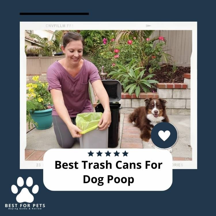 Best-Trash-Cans-For-Dog-Poop