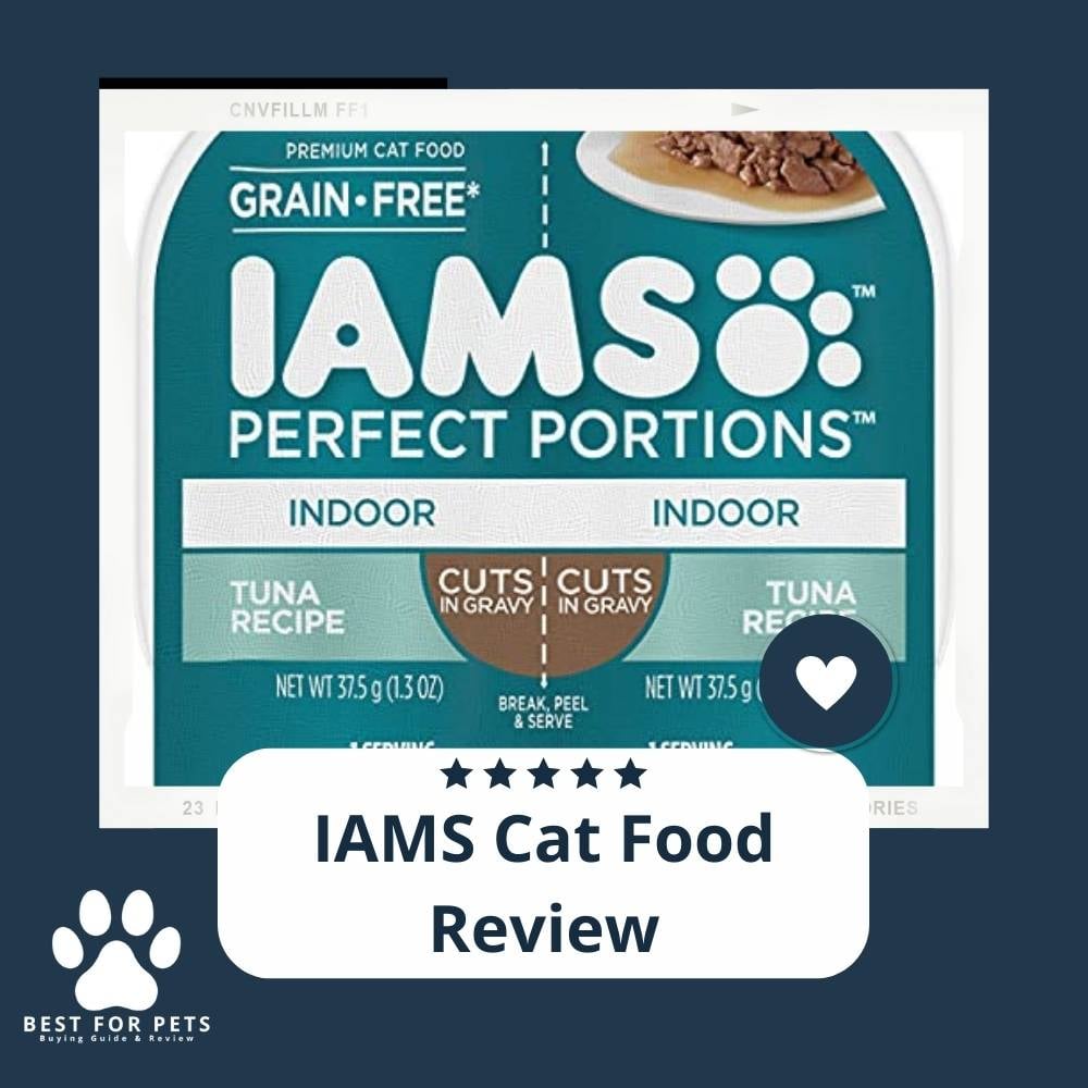 zQDZZmi0P-iams-cat-food-review