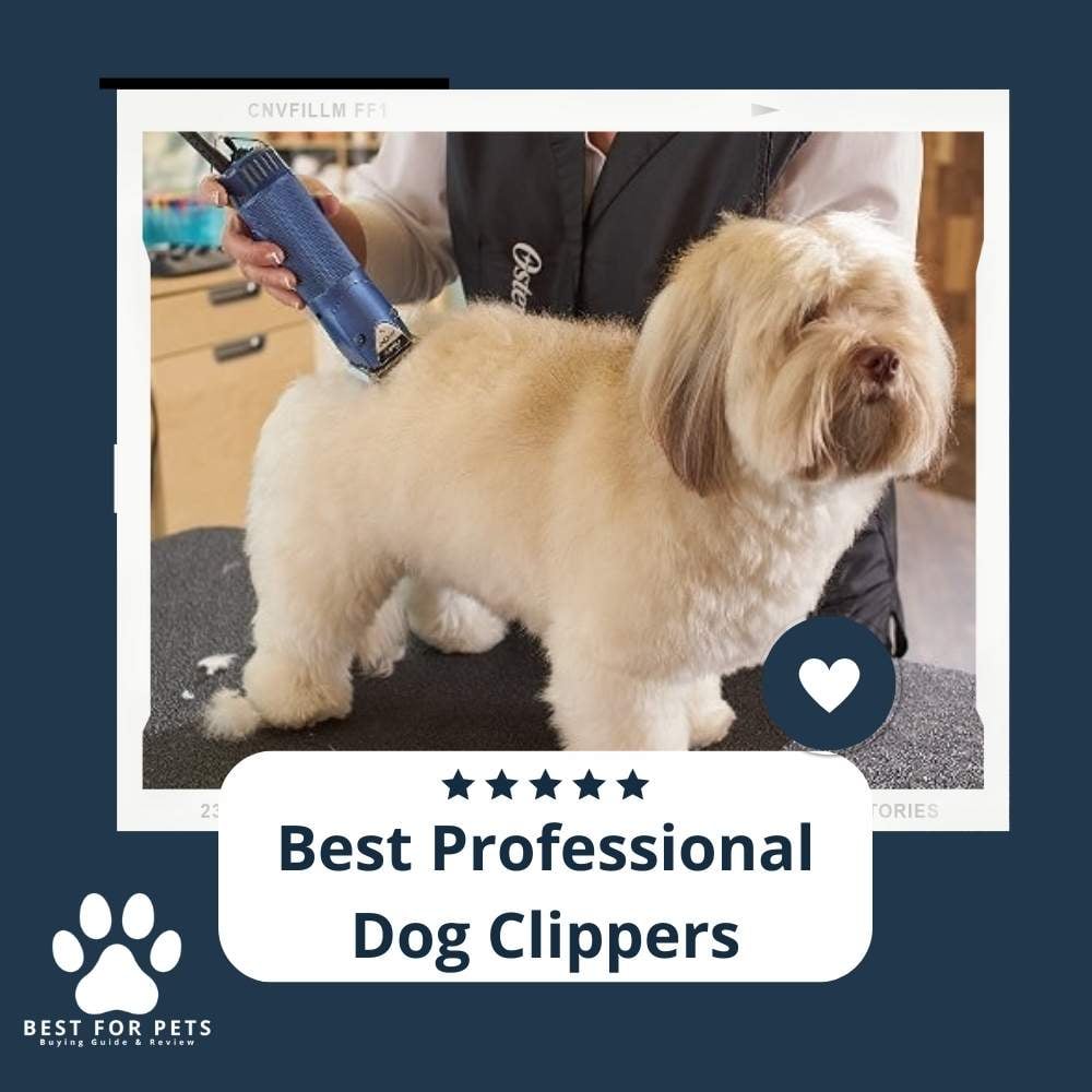 View of The 11 Best Professional Dog Clippers - BestForPets.org