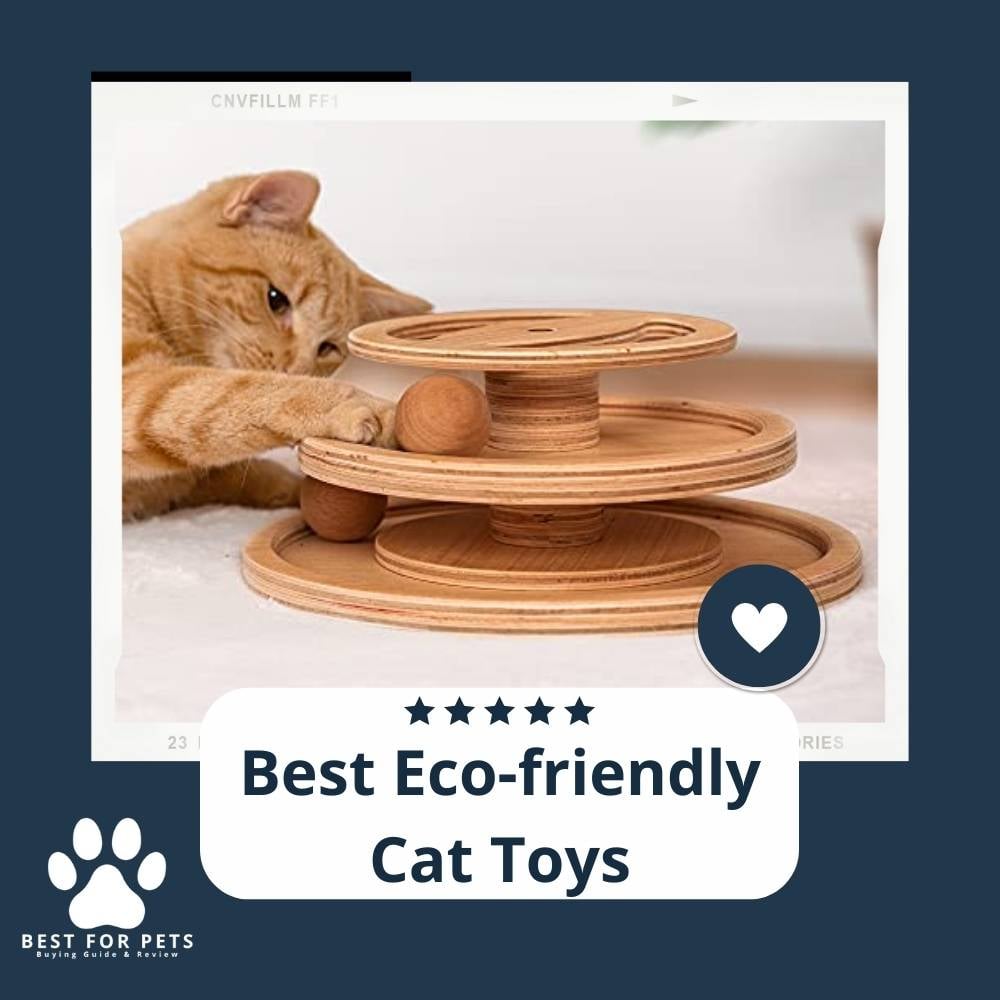 CtKfzJ3DY-best-eco-friendly-cat-toys