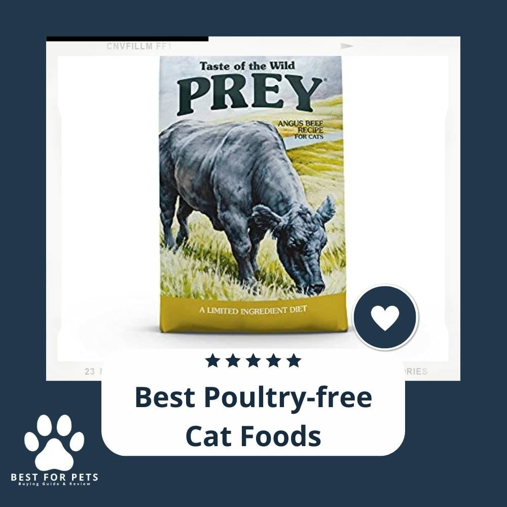 gxR7SY5Xf-best-poultry-free-cat-foods