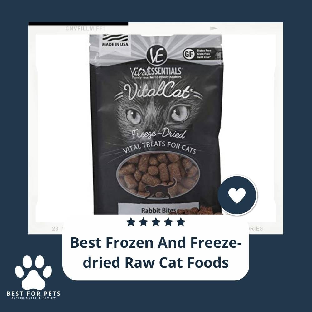 KLEnnqJvH-best-frozen-and-freeze-dried-raw-cat-foods