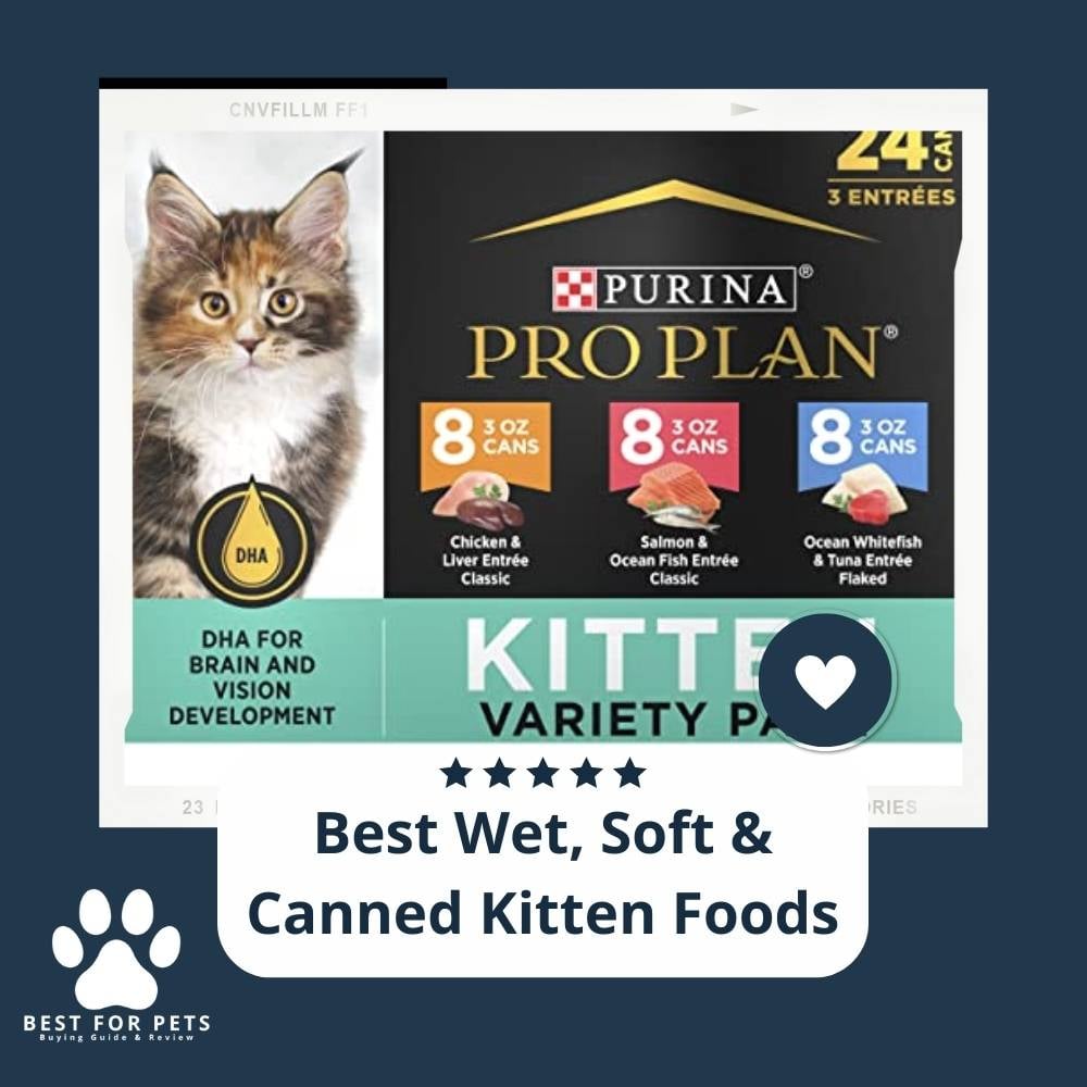 UJmEZci1H-best-wet-soft-and-canned-kitten-foods