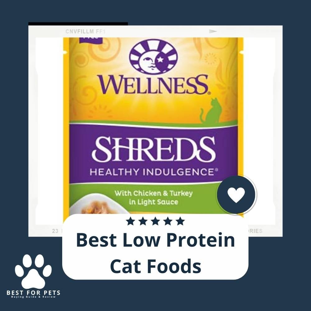 MhXEVSYY4-best-low-protein-cat-foods