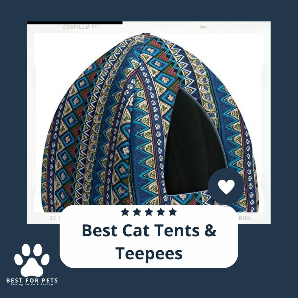 D9moYGYhF-best-cat-tents-and-teepees