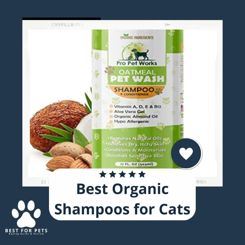 Rtwehf1WU-best-organic-shampoos-for-cats