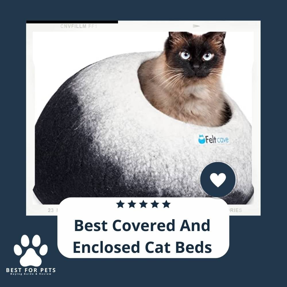 WiK3dT-t-best-covered-and-enclosed-cat-beds
