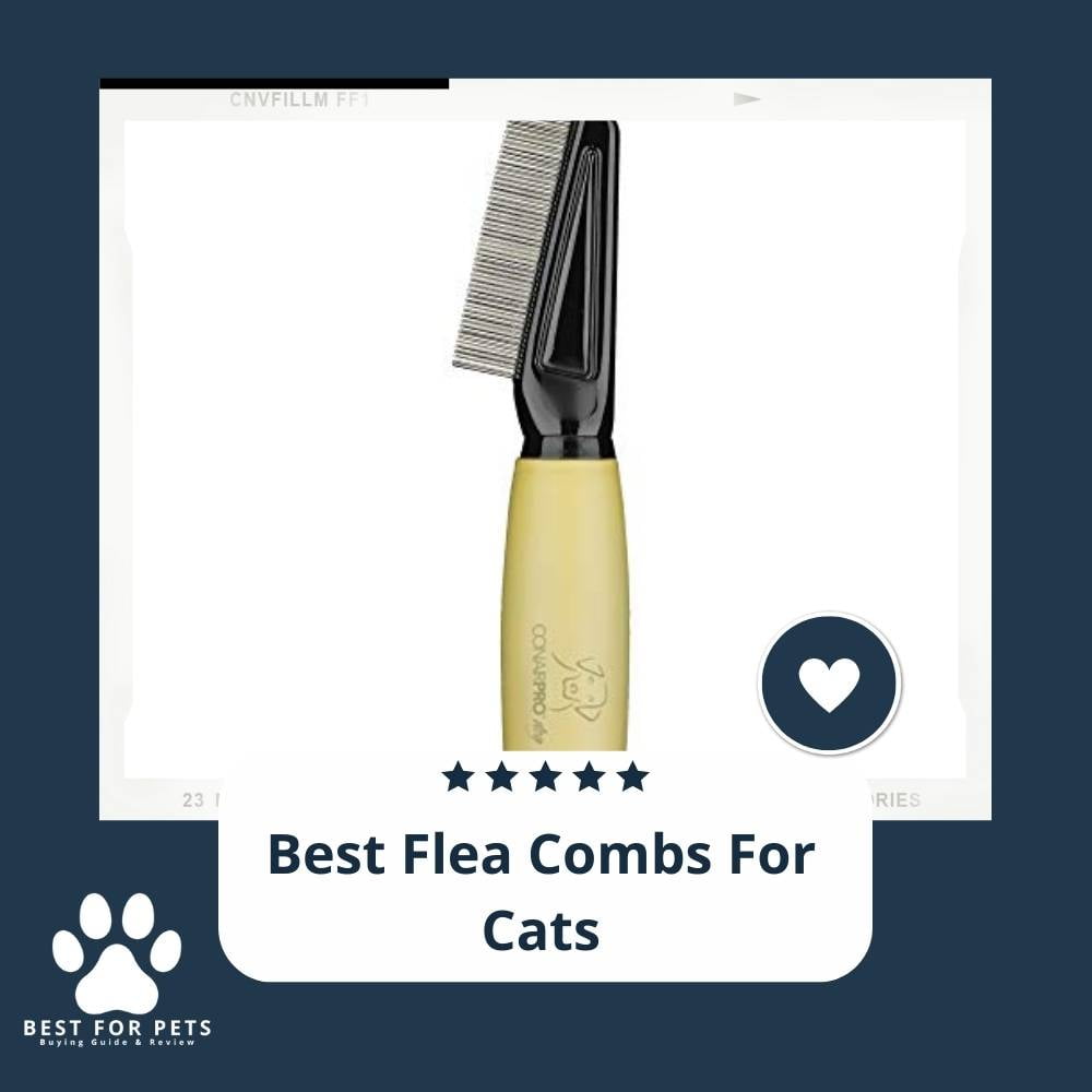 MedM2tqUr-best-flea-combs-for-cats