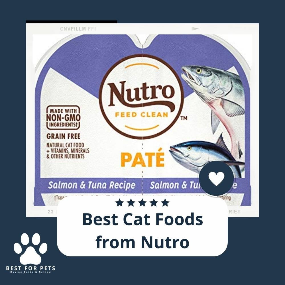 oY4M_1EYA-best-cat-foods-from-nutro