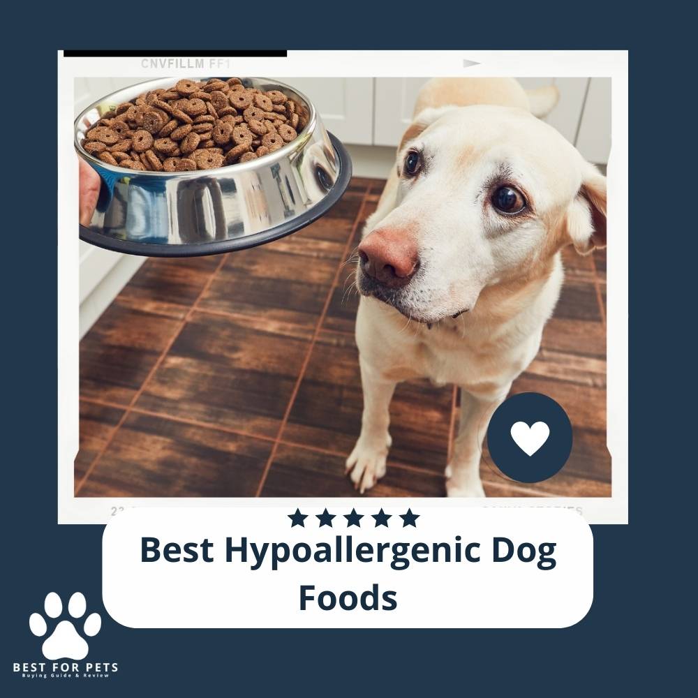 Dog Foods - 7 Best Hypoallergenic Dog Foods In 2024