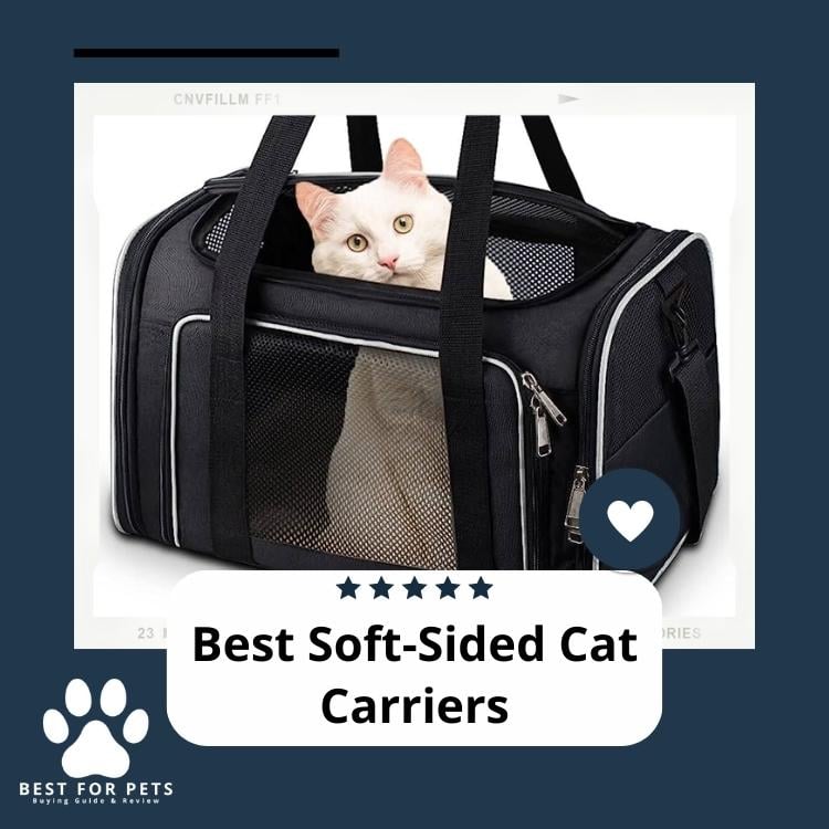 Best Soft-Sided Cat Carriers