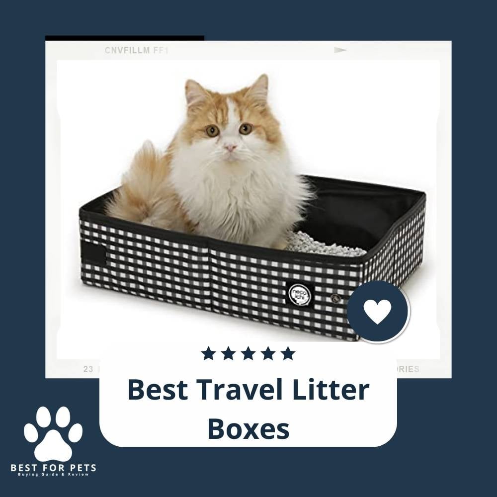v1gxL66u5-best-travel-litter-boxes