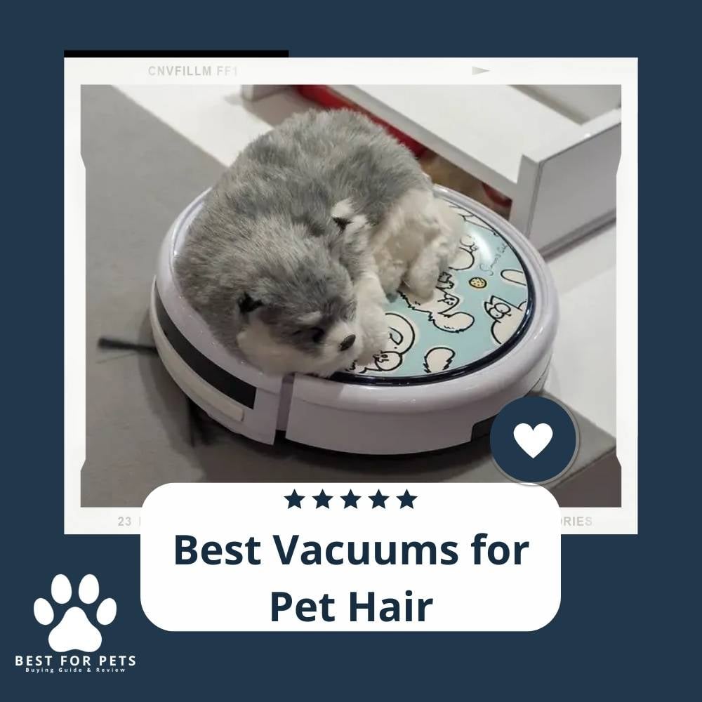 3pGfSdyPS-best-vacuums-for-pet-hair