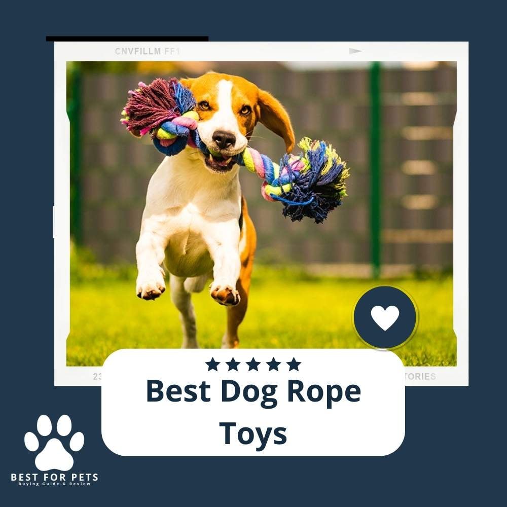 vapKr2Glb-best-dog-rope-toys