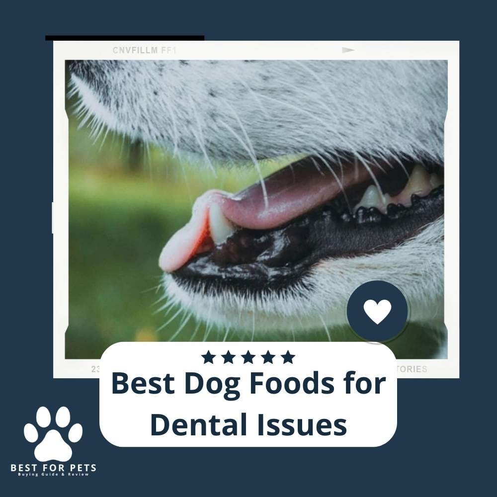 fAJYoLxVK-best-dog-foods-for-dental-issues
