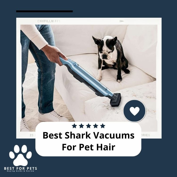 Best-Shark-Vacuums-For-Pet-Hair
