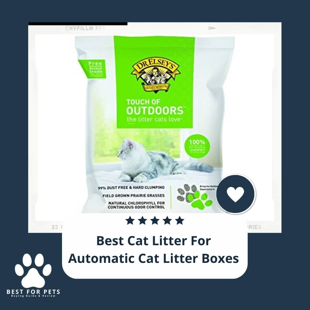 bIfgMzyjf-best-cat-litter-for-automatic-cat-litter-boxes
