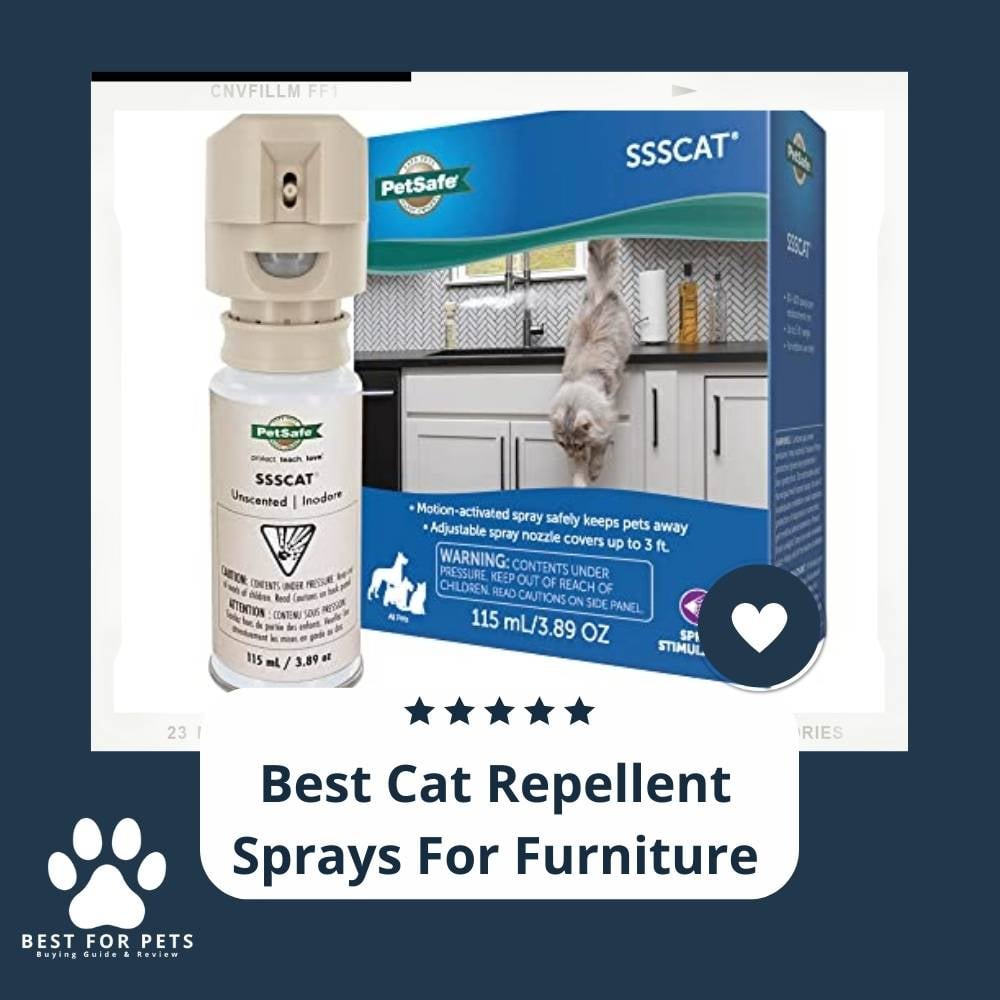 pWRDXNYbk-best-cat-repellent-sprays-for-furniture