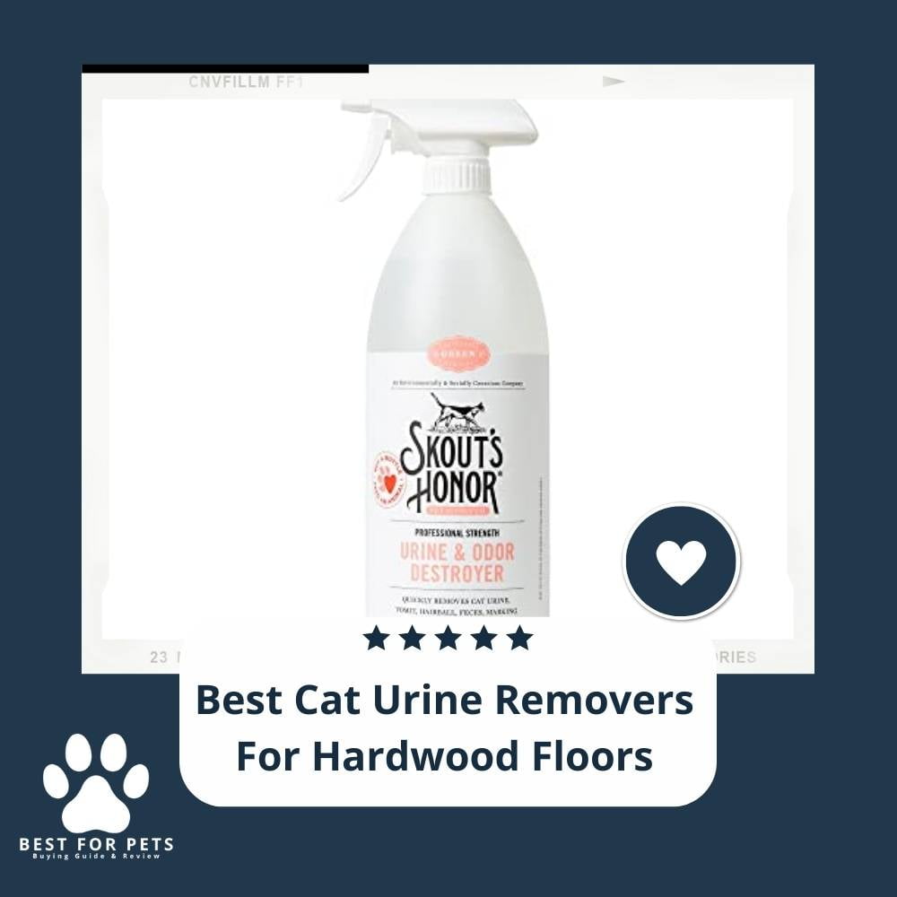 wBTTlOZJY-best-cat-urine-removers-for-hardwood-floors