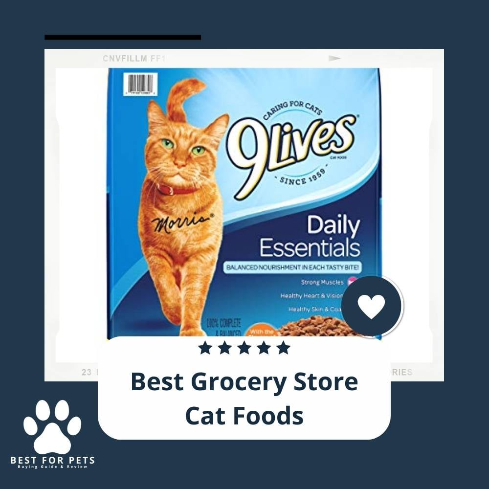 BWZqWNCM4-best-grocery-store-cat-foods