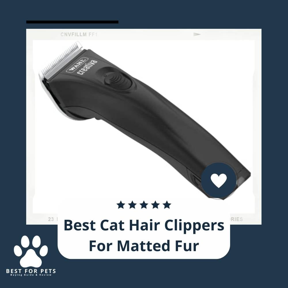 5TLVuKwor-best-cat-hair-clippers-for-matted-fur