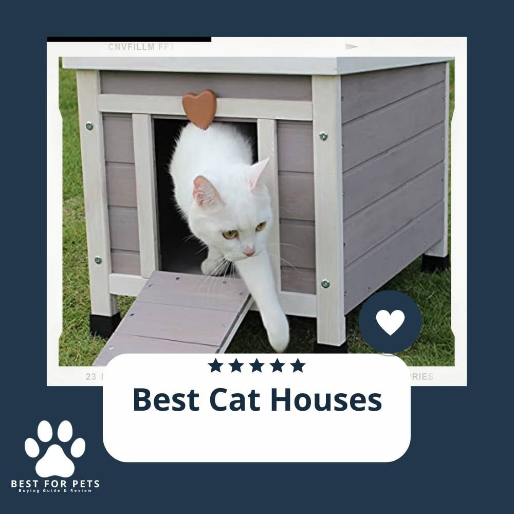 g1NpQvV5Z-best-cat-houses