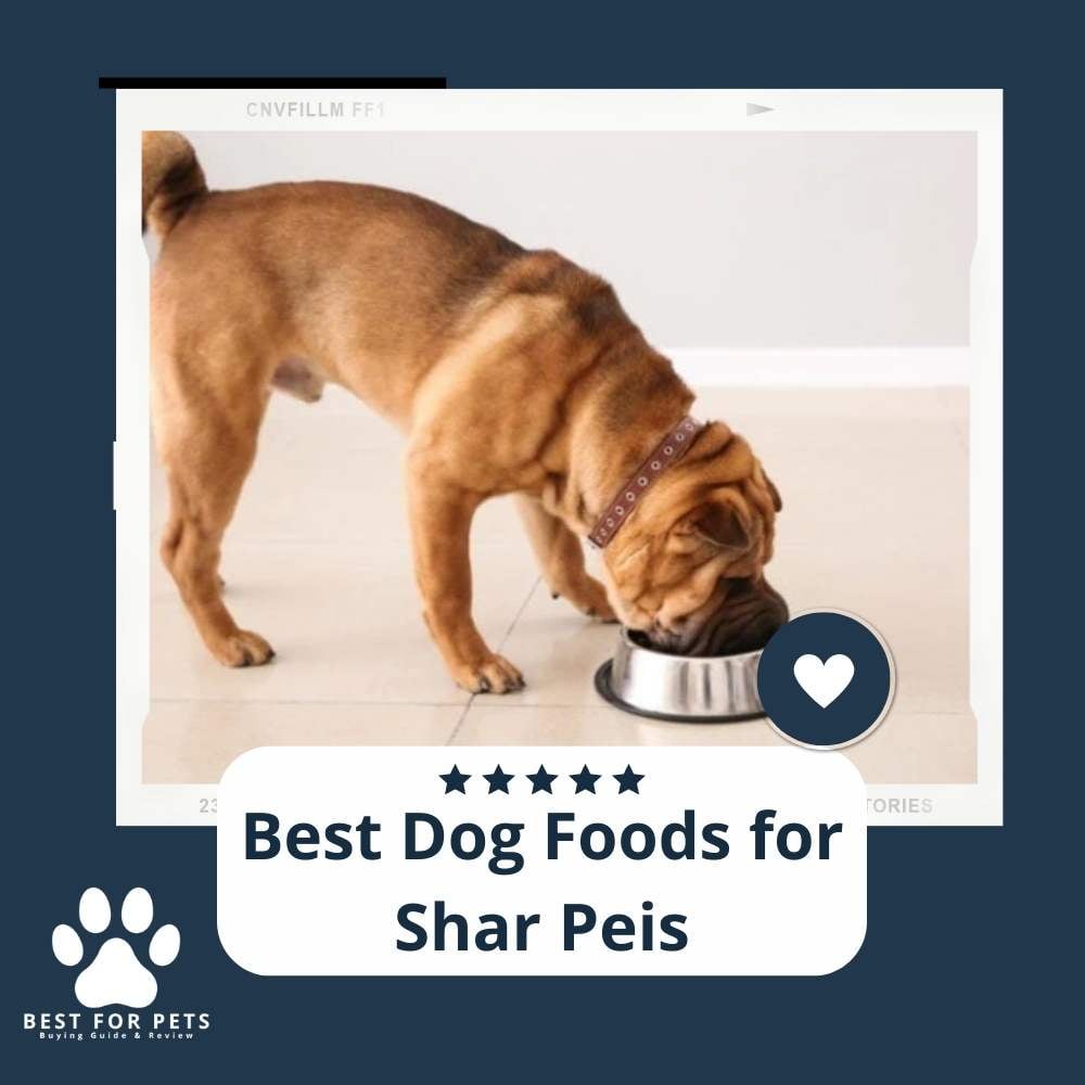 qnWjsp1-X-best-dog-foods-for-shar-peis