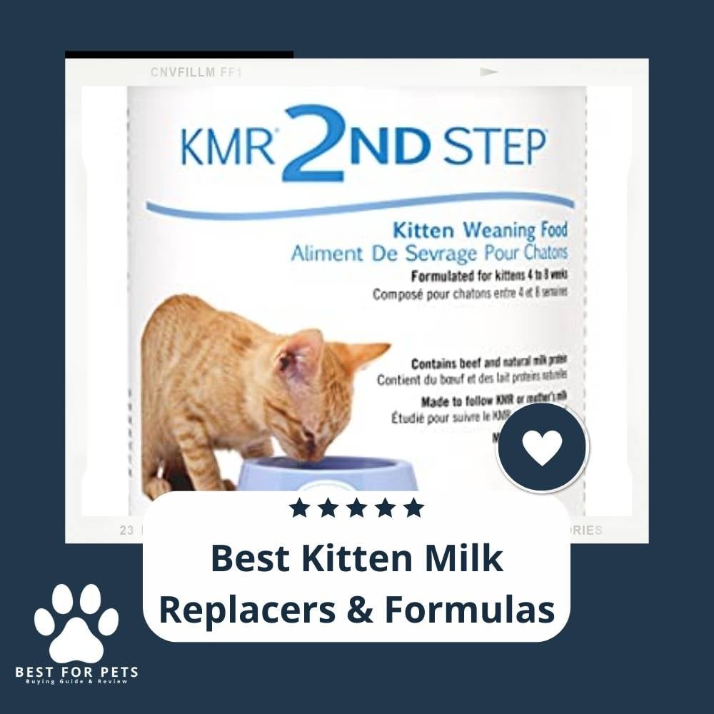 wN3KveAF7-best-kitten-milk-replacers-and-formulas