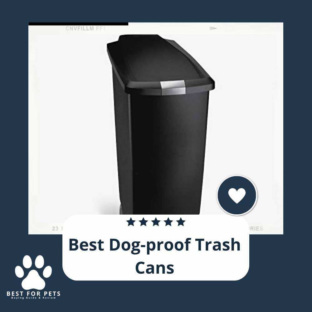 NYtFTeUn8-best-dog-proof-trash-cans