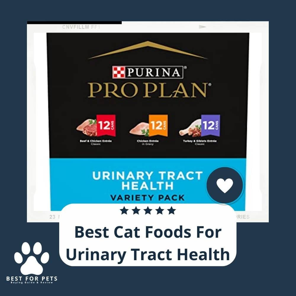 0CXbJyzRt-best-cat-foods-for-urinary-tract-health