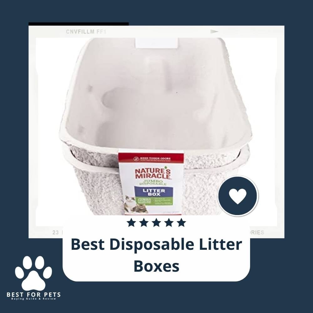 ySctypps2-best-disposable-litter-boxes