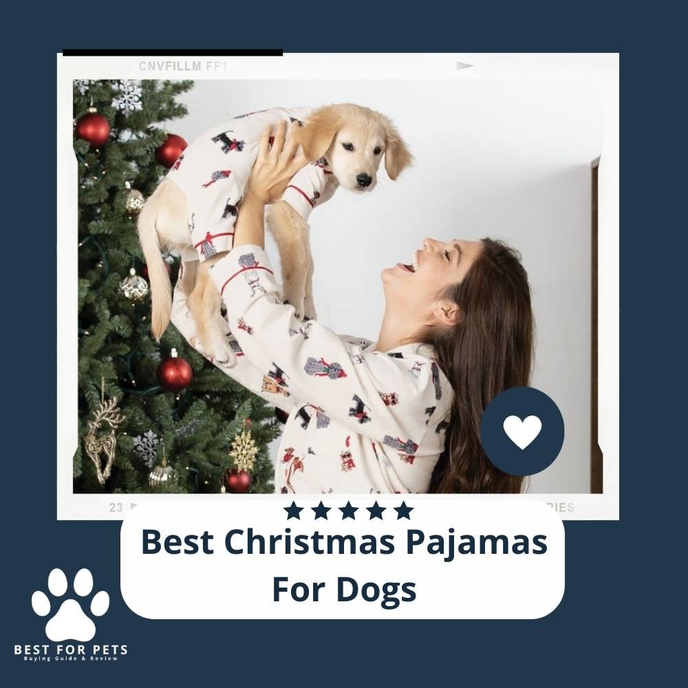 iaTujn-KY-best-christmas-pajamas-for-dogs