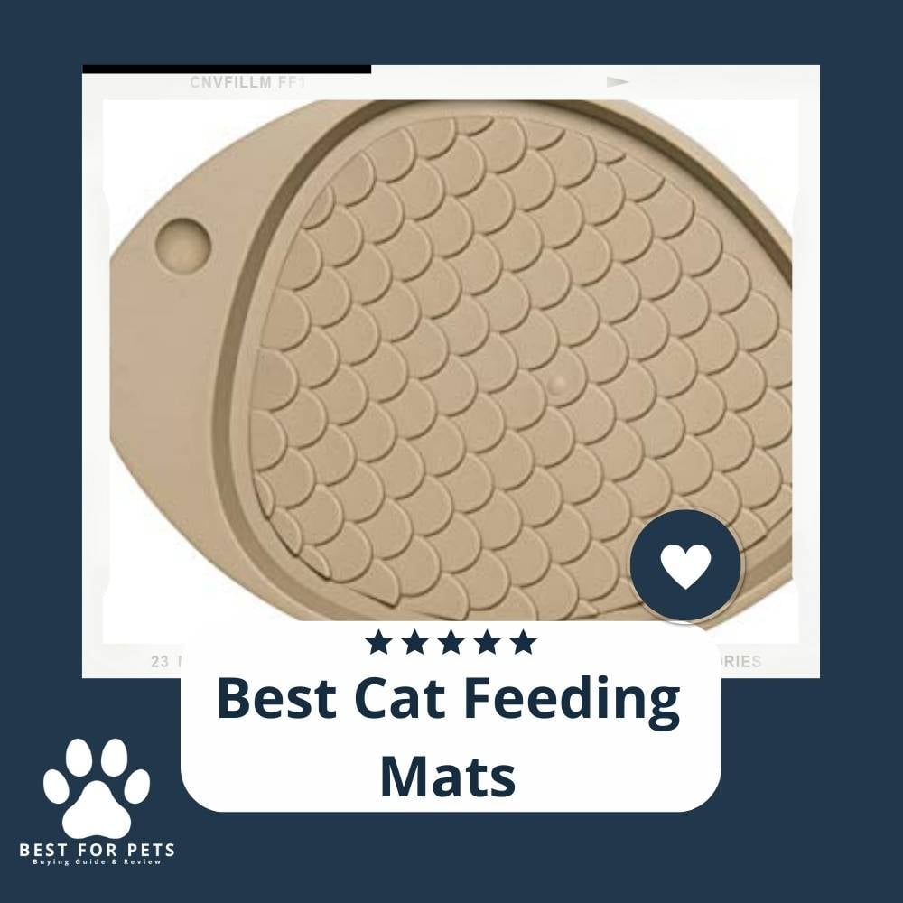 RD6ivYKwW-best-cat-feeding-mats