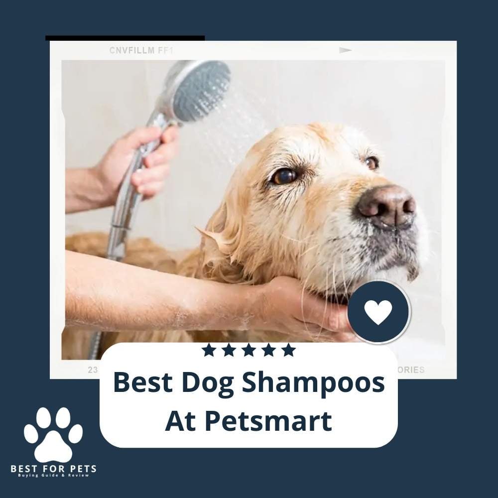 vI9gWXWrR-best-dog-shampoos-at-petsmart
