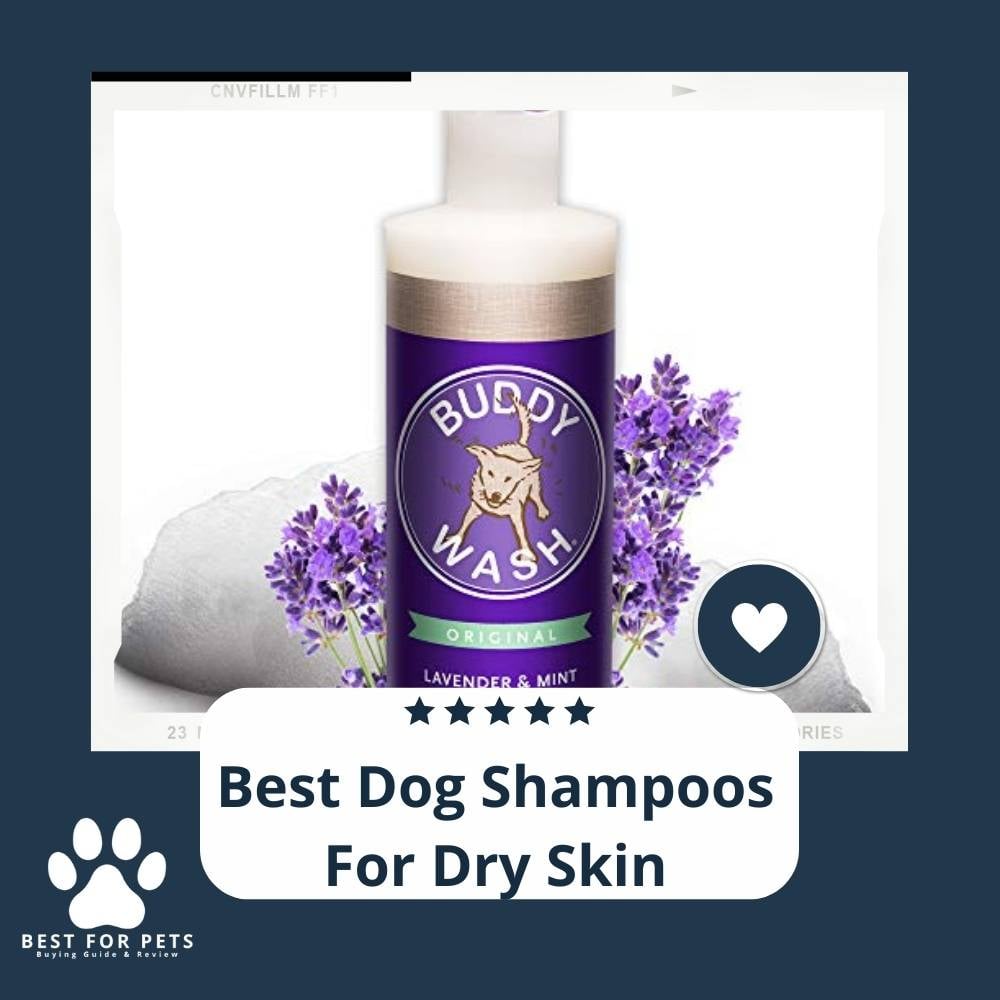 uZJ8iWyL3-best-dog-shampoos-for-dry-skin