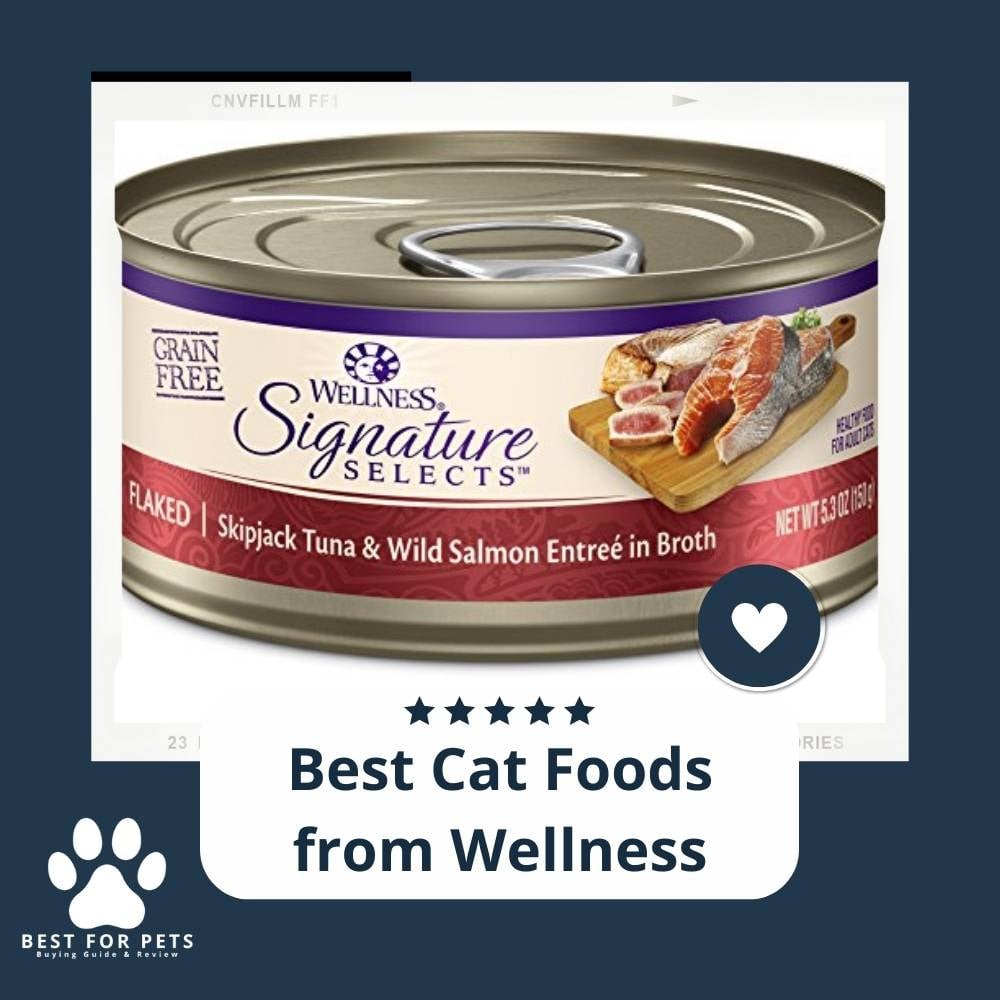 LeUjWKeD-best-cat-foods-from-wellness