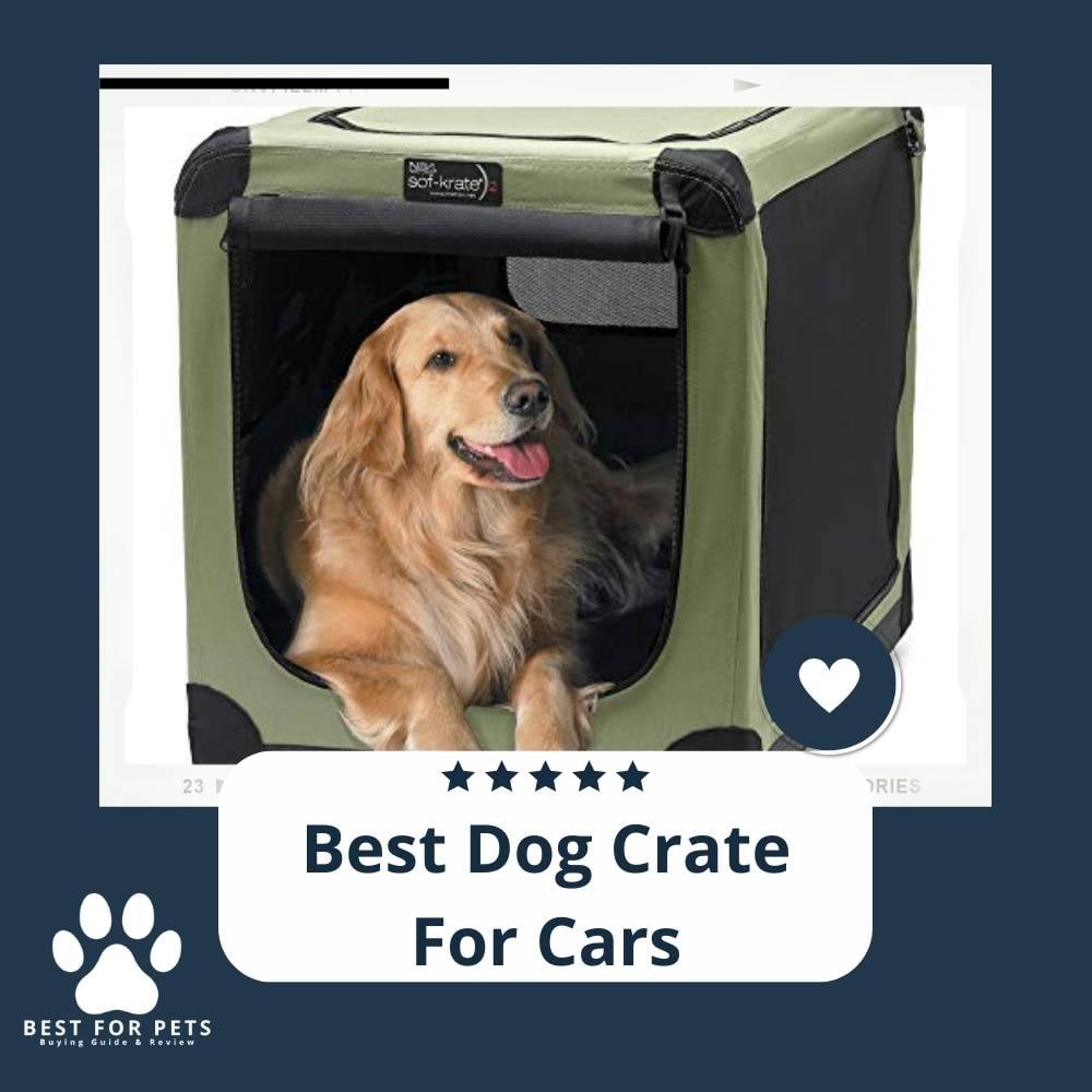 A0j9Ngoiw-best-dog-crate-for-cars
