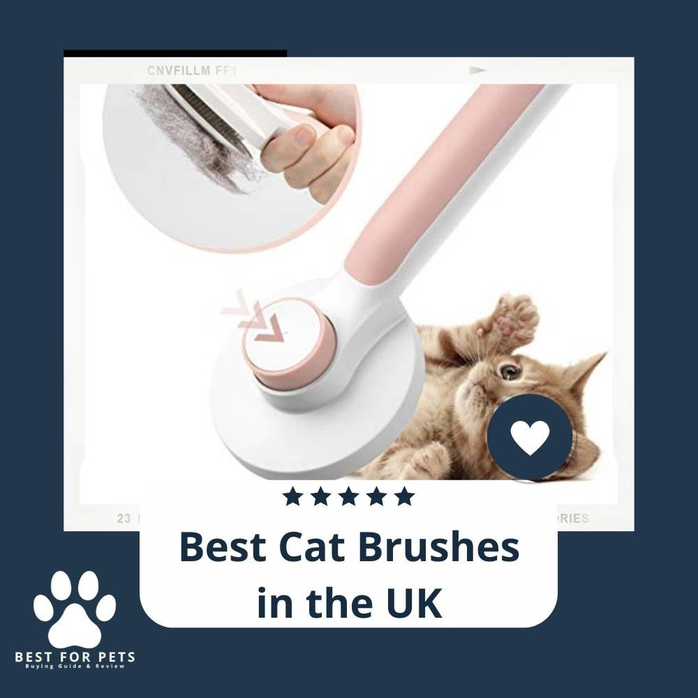 gb5TncFTk-best-cat-brushes-in-the-uk