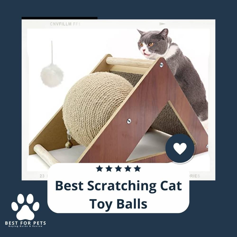 ChFqrNZtQ-best-scratching-cat-toy-balls