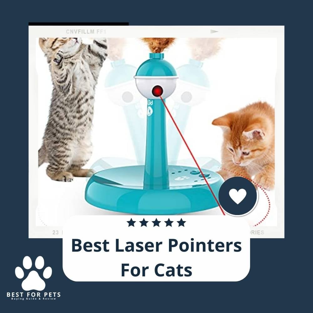 3UHB2Pxiu-best-laser-pointers-for-cats