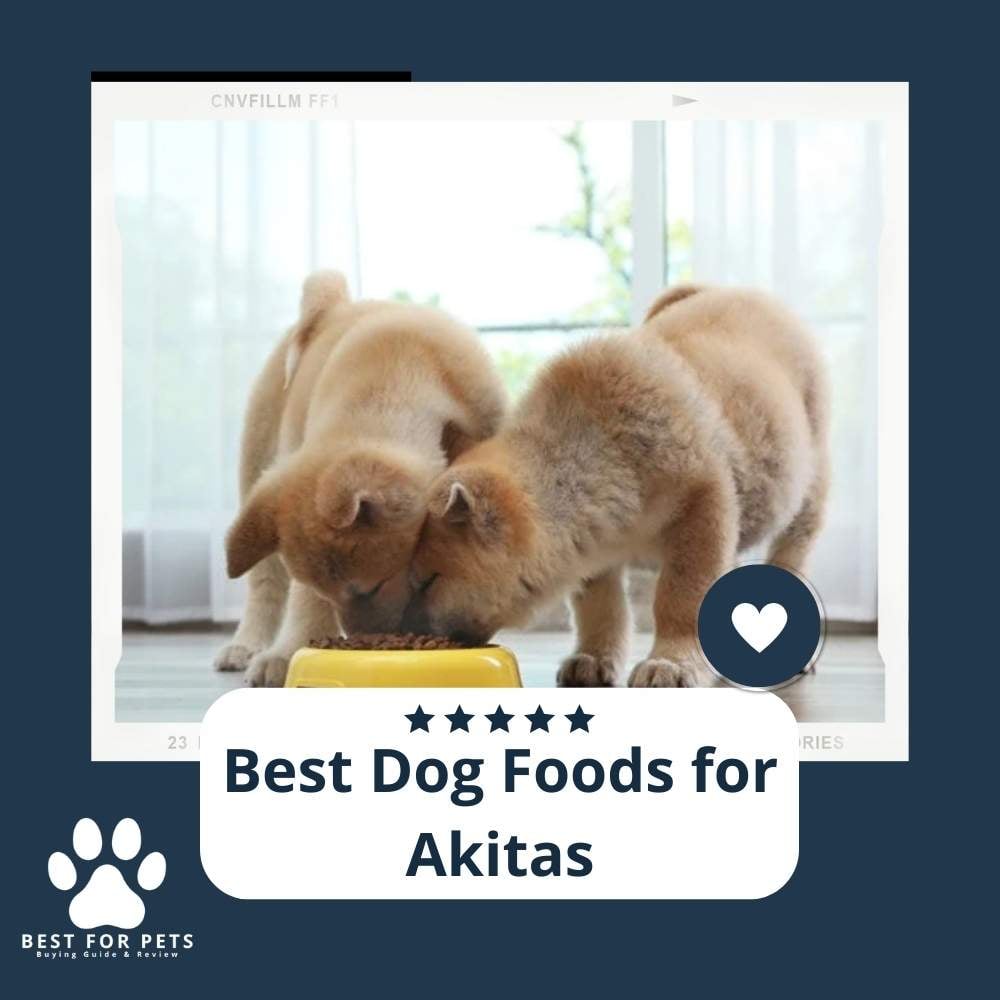 oNCgarVc4-best-dog-foods-for-akitas