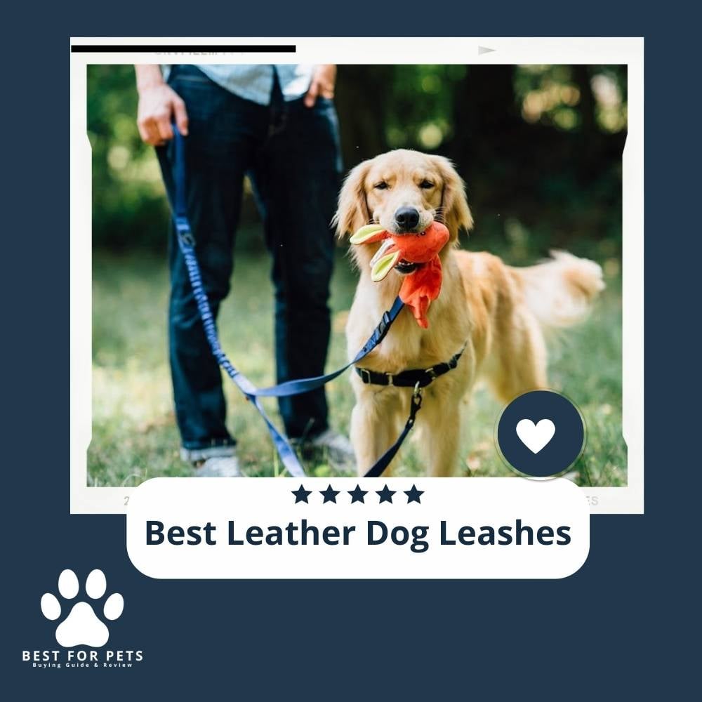 Y7X-OaQ59-best-leather-dog-leashes